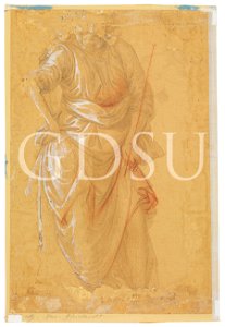 Lippi - Figura maschile panneggiata, inv. 673 E v