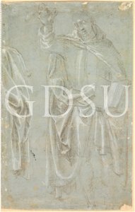 Lippi Filippino - inv 249 E v