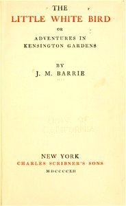 Little White Bird-1902-0005