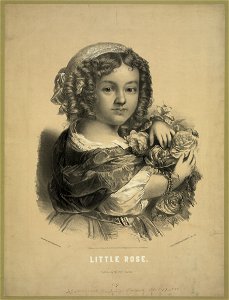 Little rose LCCN2004669608