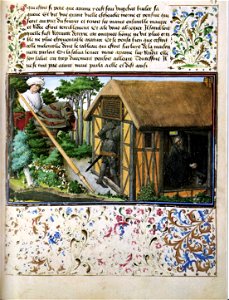Livre du cœur d'amour épris - vindobo2597 - f17