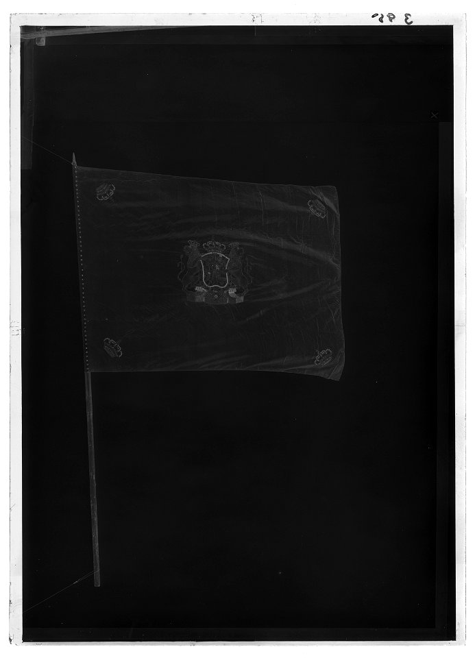 Livfana - Livrustkammaren - 8996-negative