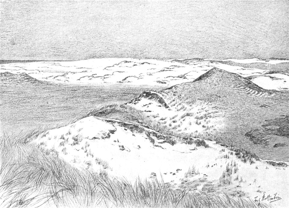 List Dünen 01