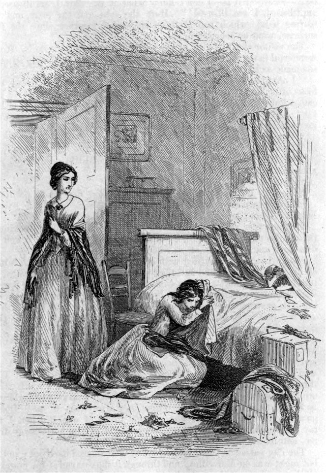 Little Dorrit - Under the microscope