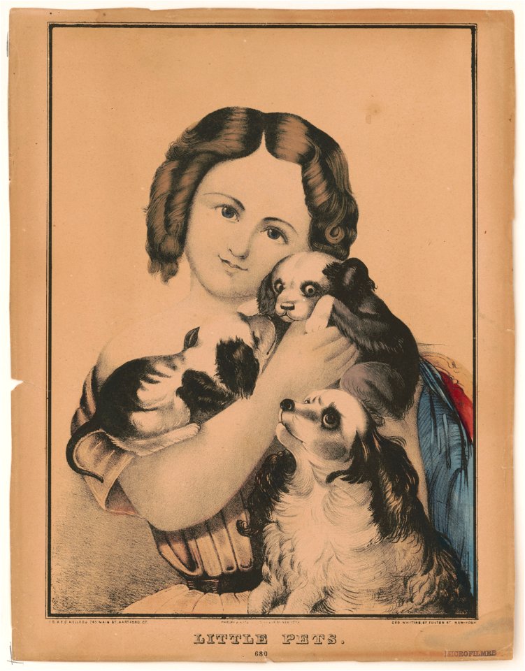 Little pets - E.B. & E.C. Kellogg, Hartford, Ct. ; Phelps & Watson, New York ; Geo. Whiting, New York. LCCN98501487