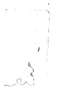 Livre des sauvages p15