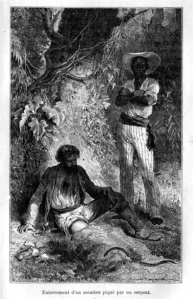 Livre Nos ennemis, par Mangin, illustration par Émile Bayard 006