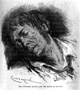Livre Nos ennemis, par Mangin, illustration par Émile Bayard 002