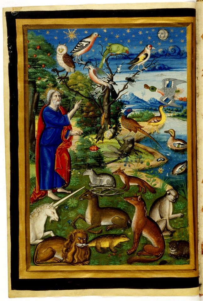 Livre d'heures à l'usage de Rome - Bodleian Lib Douce135 f17v (création)