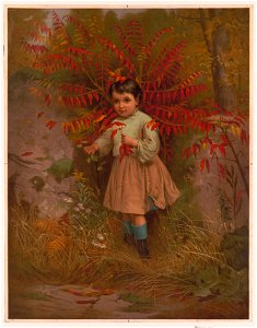 Little Bo Peep - J.G. Brown ; J. Howard Collier lith. LCCN95504843