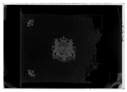 Livfana liv-o hustrupper - Livrustkammaren - 61429-negative