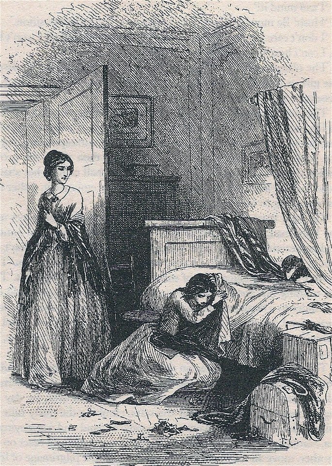Little Dorrit, Under the Microscope
