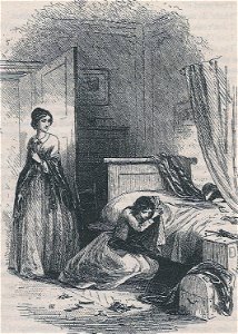 Little Dorrit, Under the Microscope