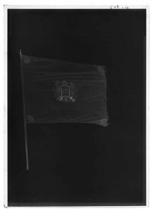 Livfana - Livrustkammaren - 51794-negative