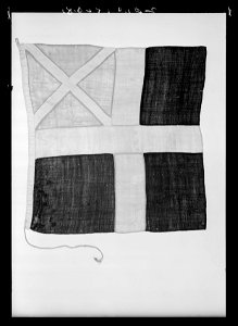 Livfana för Konungens eget värvade regemente under Gustav IV Adolf - Livrustkammaren - 9938