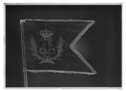 Livfana vid Karelens dragoner - Livrustkammaren - 34651-negative