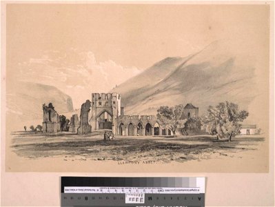 Llantony Abbey (1130506)