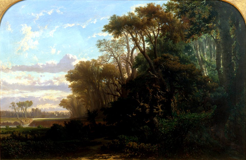 Lluís Rigalt - Landscape with Woods - Google Art Project