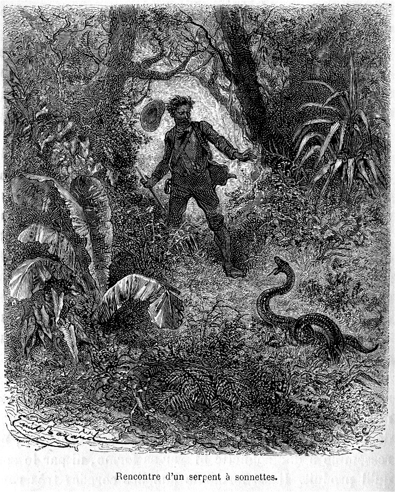 Livre Nos ennemis, par Mangin, illustration par Émile Bayard 005