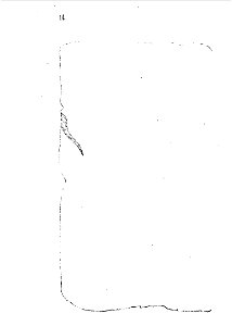 Livre des sauvages p14