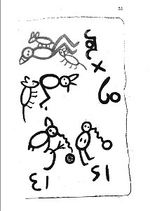 Livre des sauvages p35