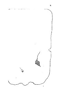 Livre des sauvages p9