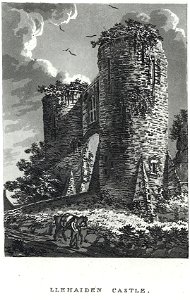 Llehaiden Castle (1132928)