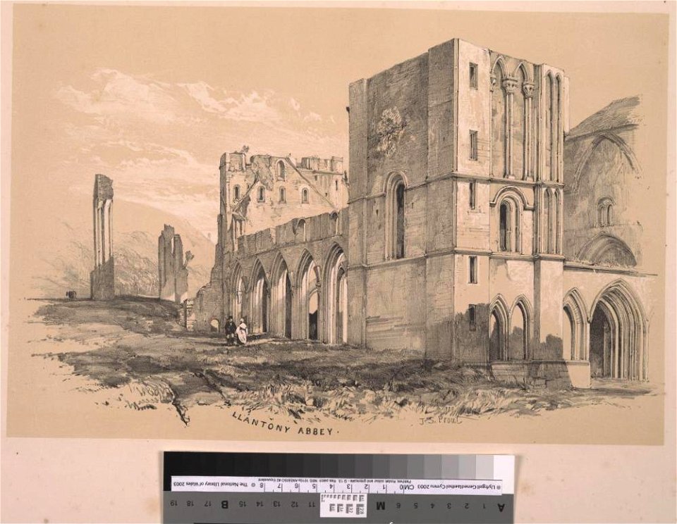 Llantony Abbey (1131555)