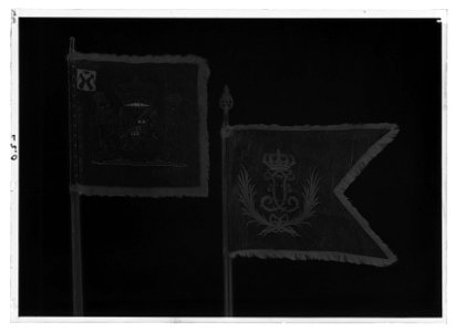 Livstandar vid Karelen och Viborgs läns kavalleri - Livrustkammaren - 35181-negative