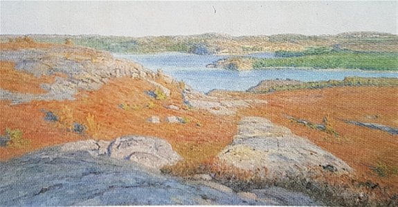 Ljungberg i aftonljus x Elias Erdtman