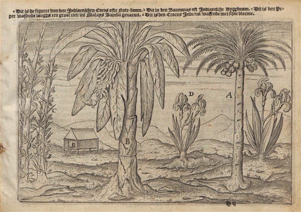 Lodewijcksz - Historie van Indien - 1617 - UB Radboud Uni Nijmegen - 204794153 53