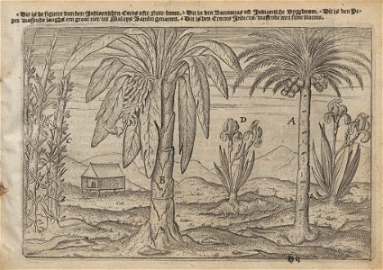 Lodewijcksz - Historie van Indien - 1617 - UB Radboud Uni Nijmegen - 204794153 53