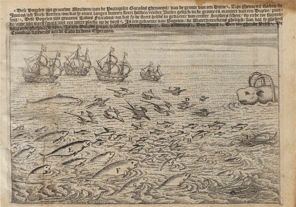 Lodewijcksz - Historie van Indien - 1617 - UB Radboud Uni Nijmegen - 204794153 43