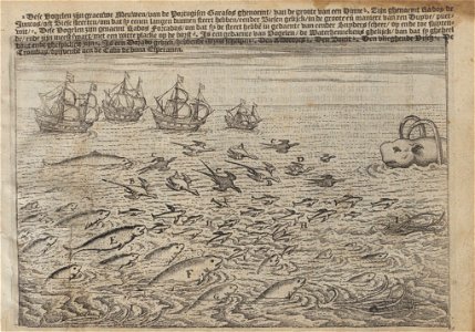 Lodewijcksz - Historie van Indien - 1617 - UB Radboud Uni Nijmegen - 204794153 43