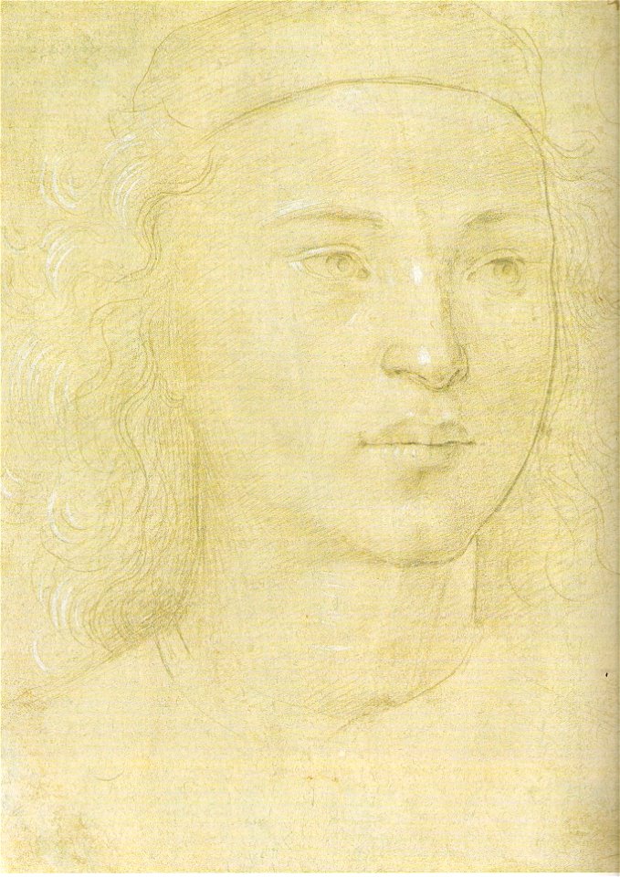 Lorenzo di Credis-Bildnis eines jungen Mannes
