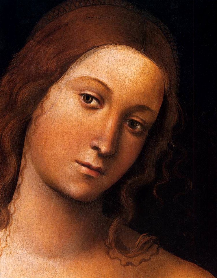 Lorenzo Costa - Venus (detail) - WGA5437