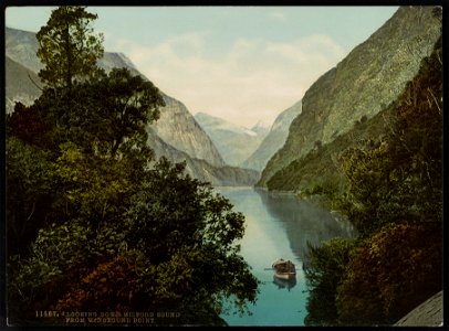 Looking Down Milford Sound from Windbound Point LCCN2017658068