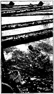 Londres - Pêcheurs de perles, 1931 (page 246 crop)