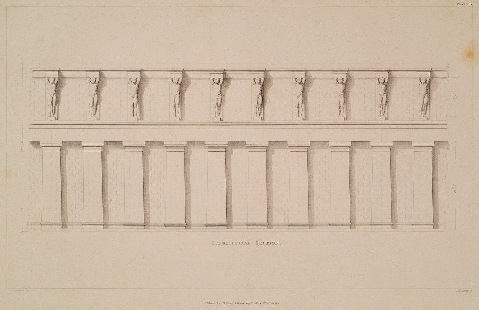 Longitudinal section - Cockerell Charles Robert Kinnard William Donaldsonthomas Leverton Jenkins William Railton William - 1830