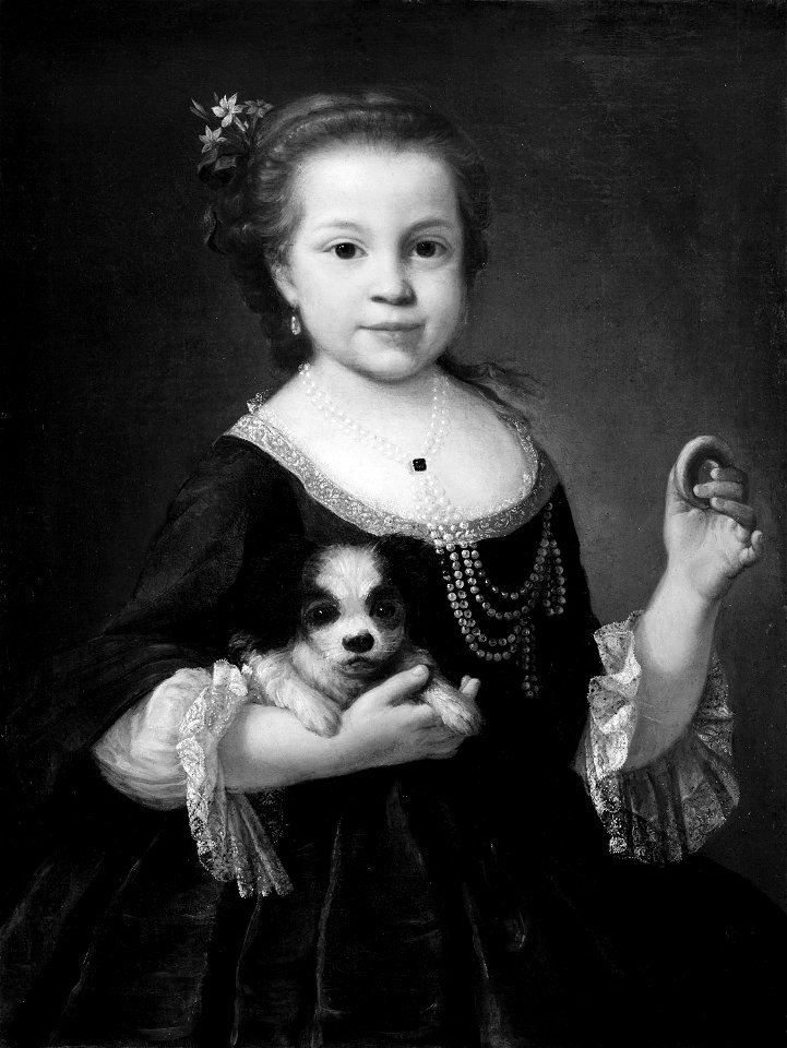 Alessandro Longhi - Portrait of a girl with a dog - 1947.84 - Art Institute of Chicago