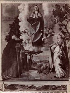 Lotto - Madonna in gloria, sant'Antonio Abate e san Ludovico di Tolosa, Cattedrale di S. Maria Assunta