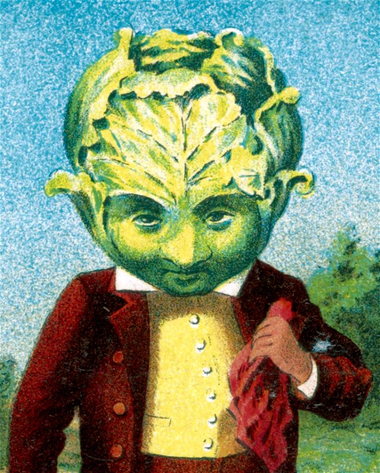 Lossy-page1-2447px-Bufford's vegetable cards, no. 790-6 (cabbage) - Bufford cropped (cropped)