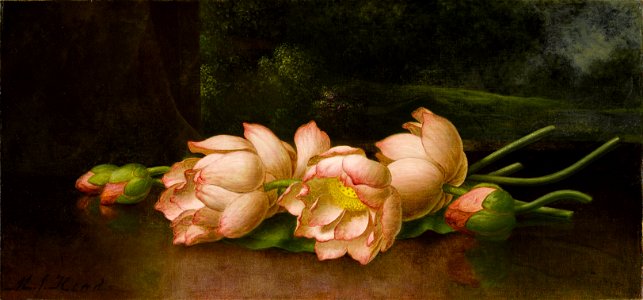 Lotus Flowers- A Landscape Painting in the Background - Martin Johnson Heade - Google Cultural Institute