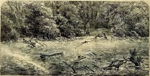 Louis Delaporte - Voyage d'exploration en Indo-Chine, tome 1 (page 209 crop)