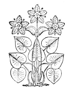 Louis Antoine de Bougainville - Voyage de Bougainville autour du monde (années 1766, 1767, 1768 et 1769), raconté par lui-même, 1889 (p184 crop)