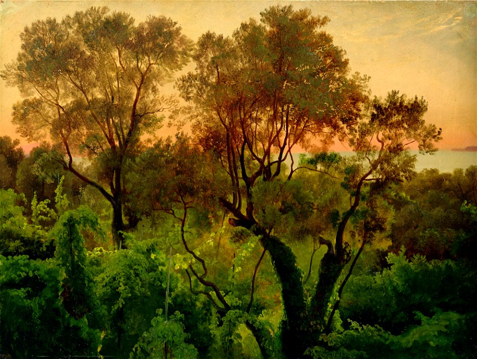Louis Gurlitt - Ein Hang mit Olivenbäumen