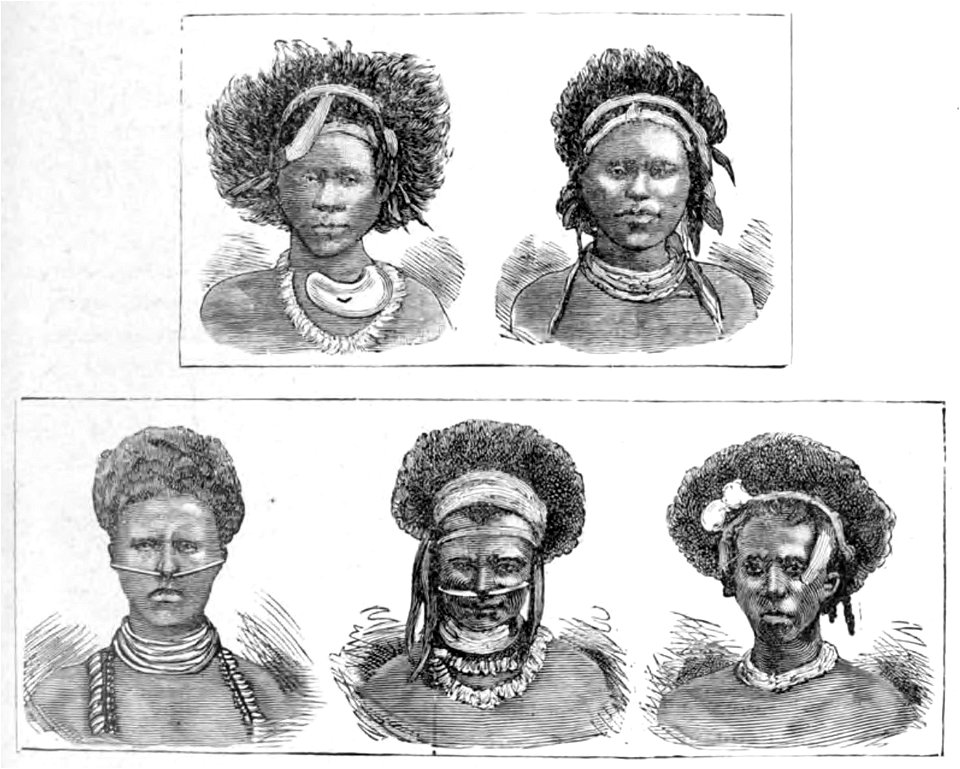 Louis Antoine de Bougainville - Voyage de Bougainville autour du monde (années 1766, 1767, 1768 et 1769), raconté par lui-même, 1889 (p237 crop)