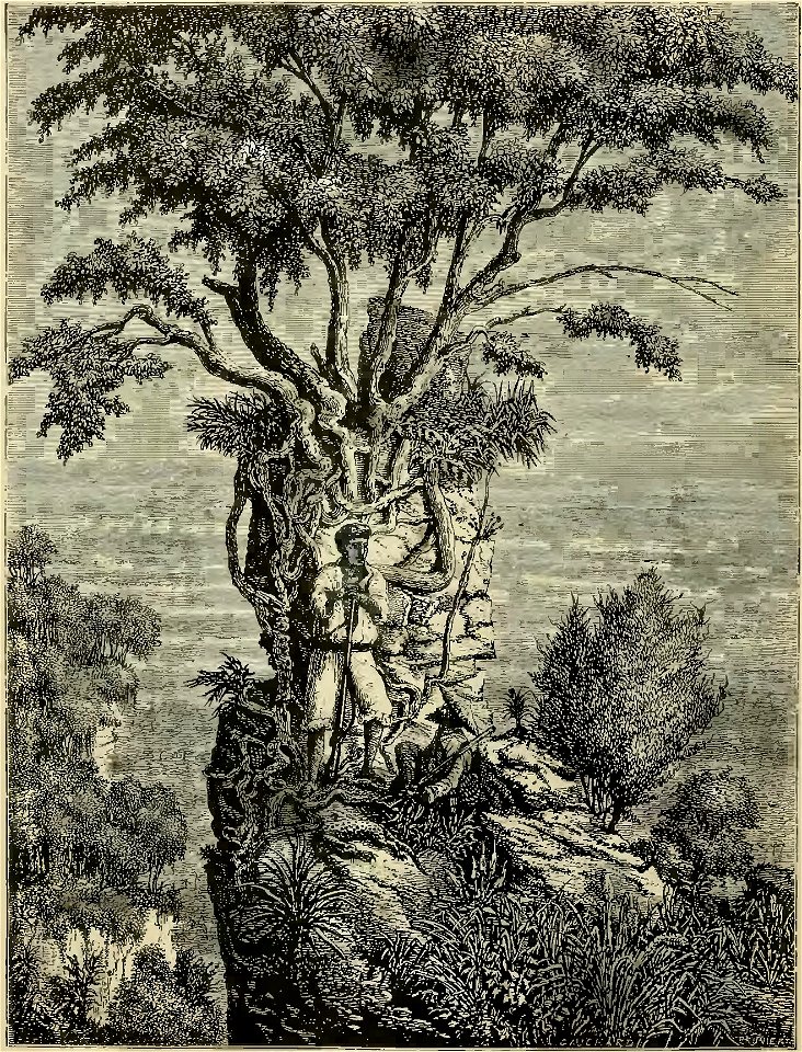 Louis Delaporte - Voyage d'exploration en Indo-Chine, tome 1 (page 225 crop)