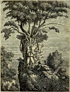Louis Delaporte - Voyage d'exploration en Indo-Chine, tome 1 (page 225 crop)
