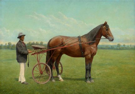Louis John Steele - Harold Abdullah - 1956-18 - Auckland Art Gallery